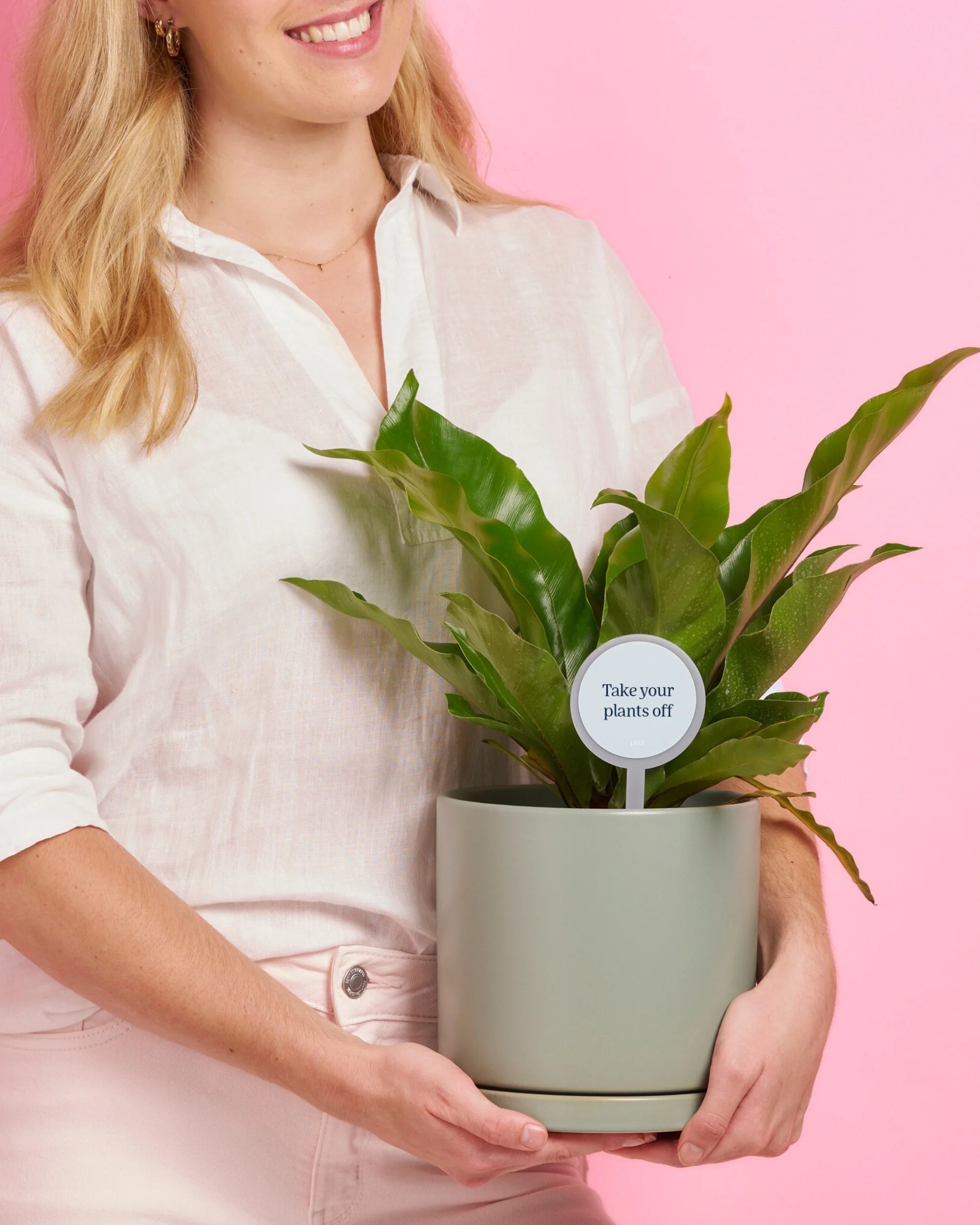 Personalised Plant + Pot Lucky Dip